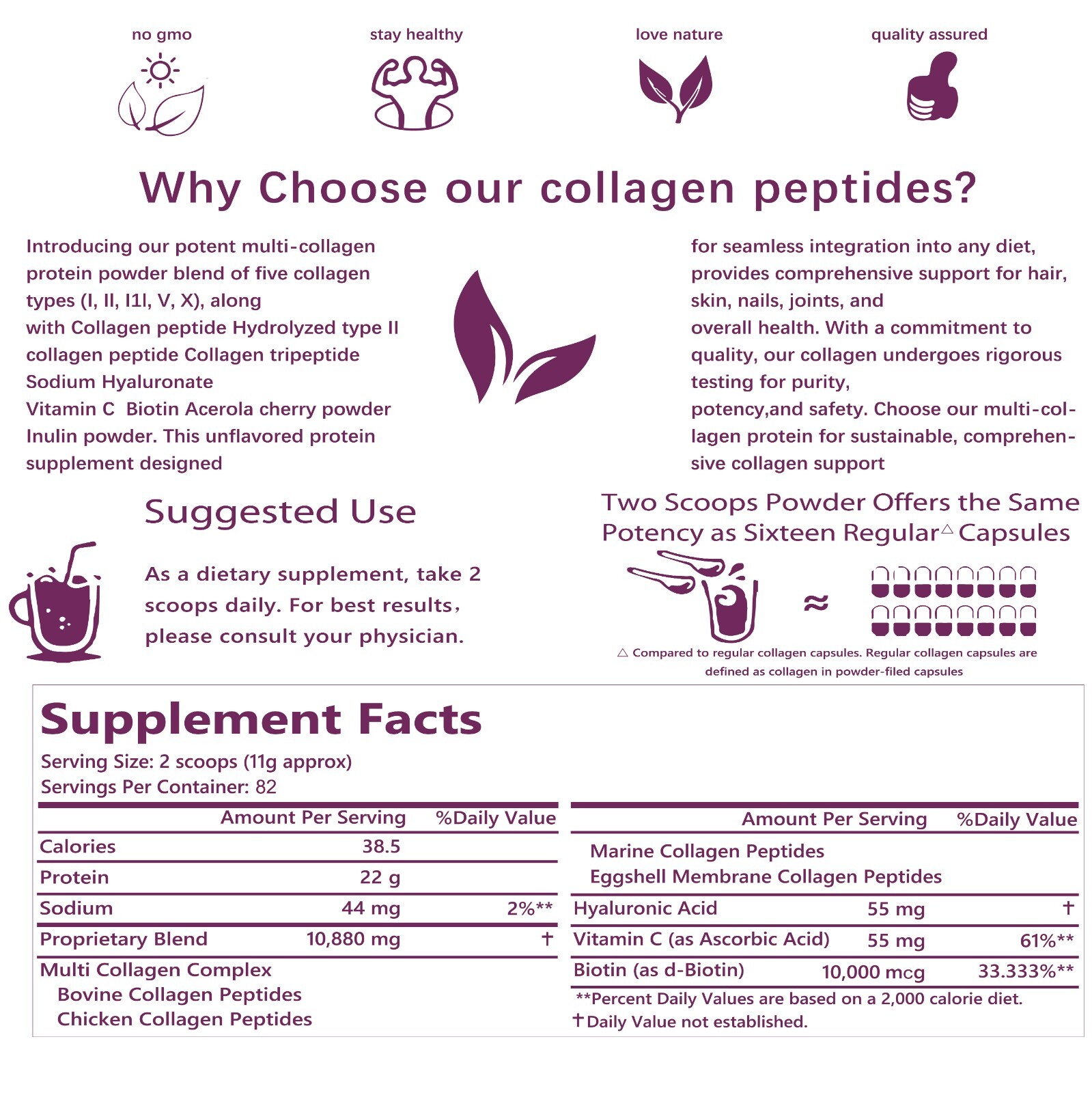 2LB Multi Collagen Peptides Powder–Hydrolyzed Protein with Type I, II, III, V, X
