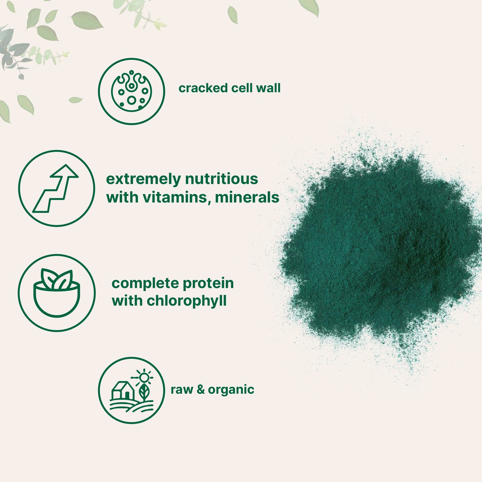 Organic Chlorella Powder, 10 Ounce, Broken Cell Wall, 10 Ounce (Pack of 1)