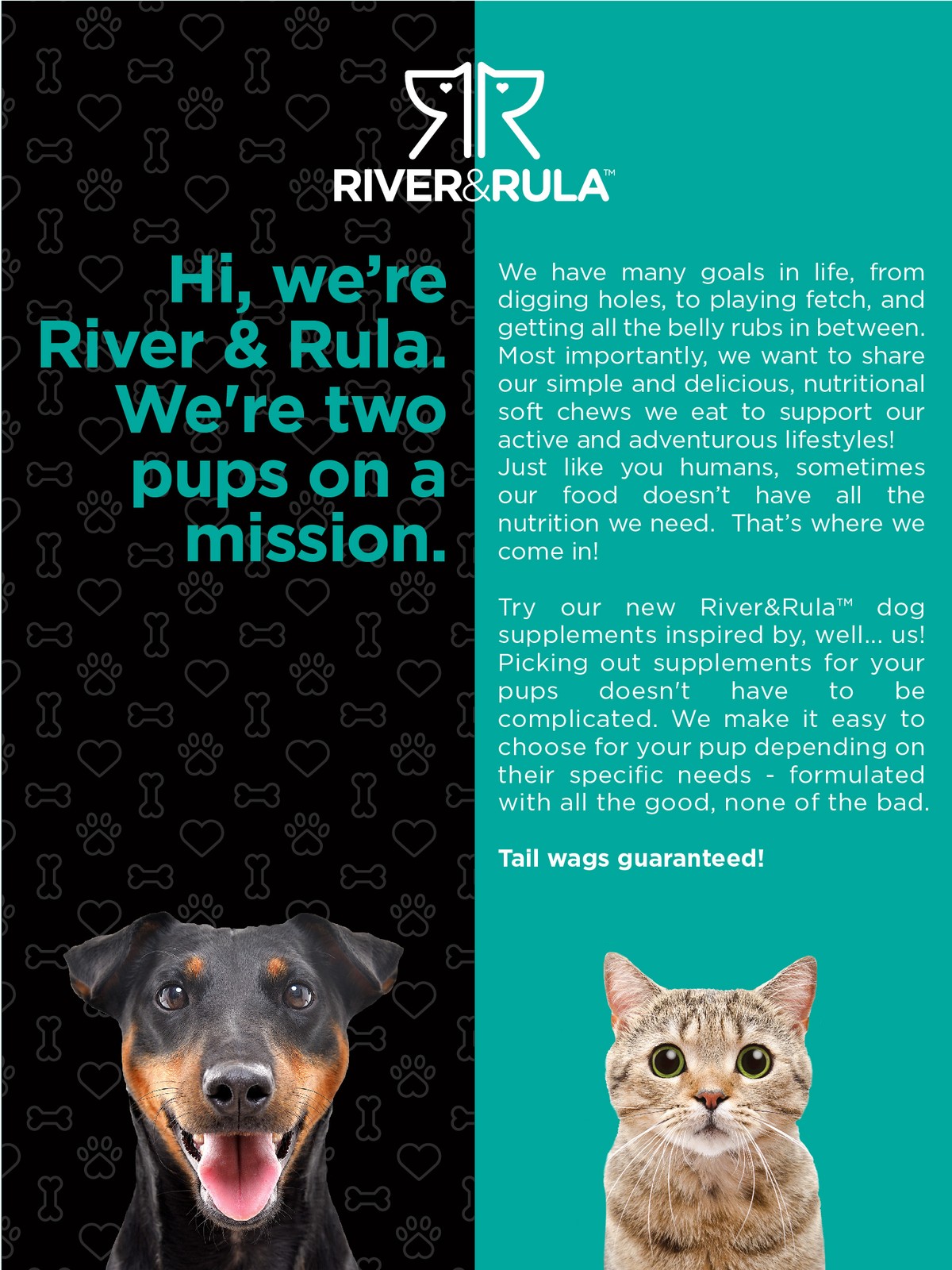 Probiotics for Dogs & Cats | 120 Chewables | Digestive Aid | by River & Rula