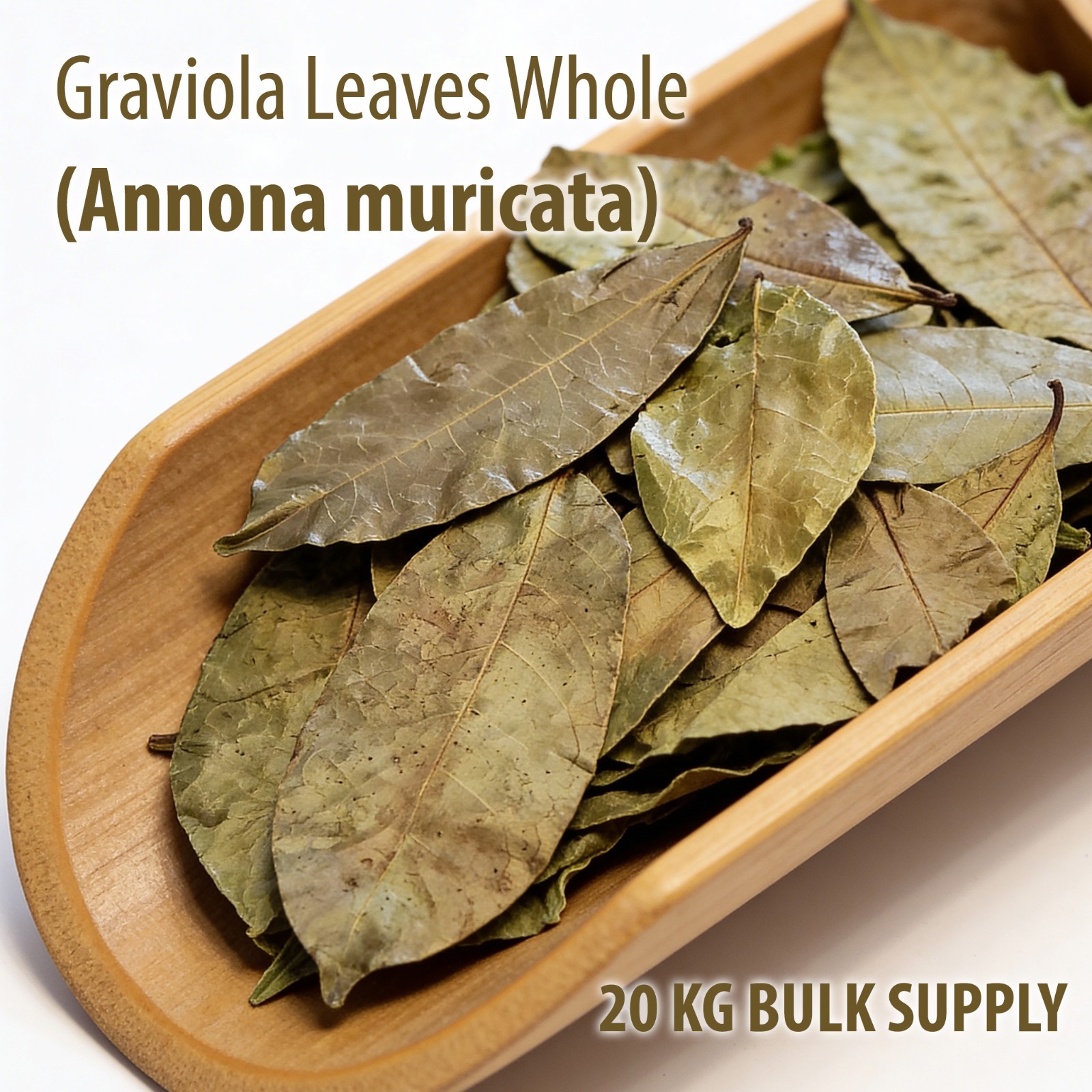 Graviola Whole Leaves 10KG Bulk Annona Muricata | Soursop Commercial Supply