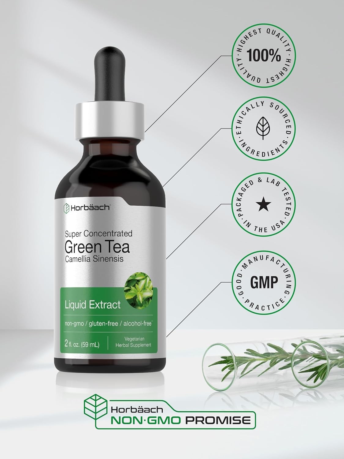 Horbäach Green Tea Extract Liquid Drops | 2 Fl Oz | Herbal Tincture | Alcohol Fr