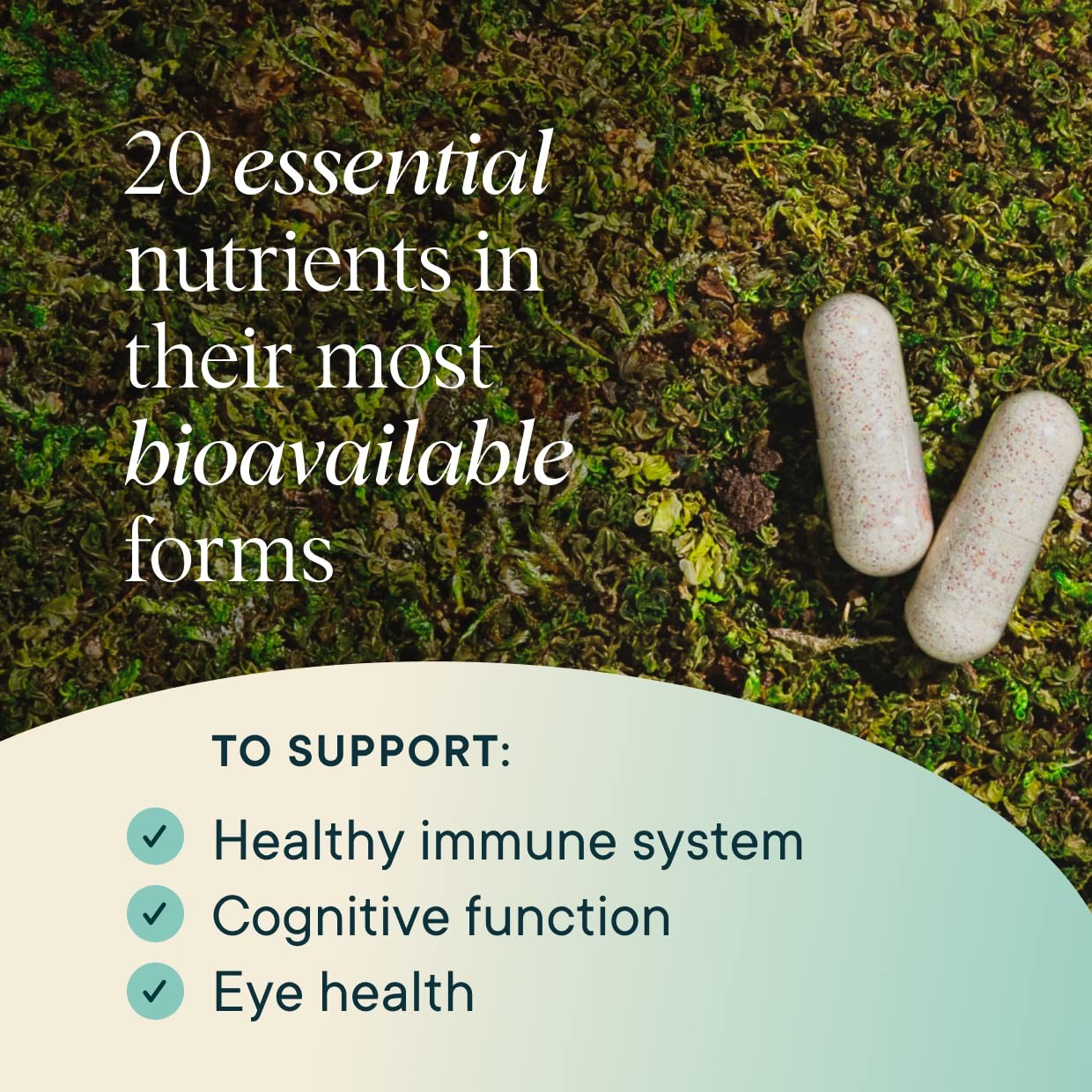 Ora Organic Plant Based Multivitamin for Women 60 Count (Pack of 1), White