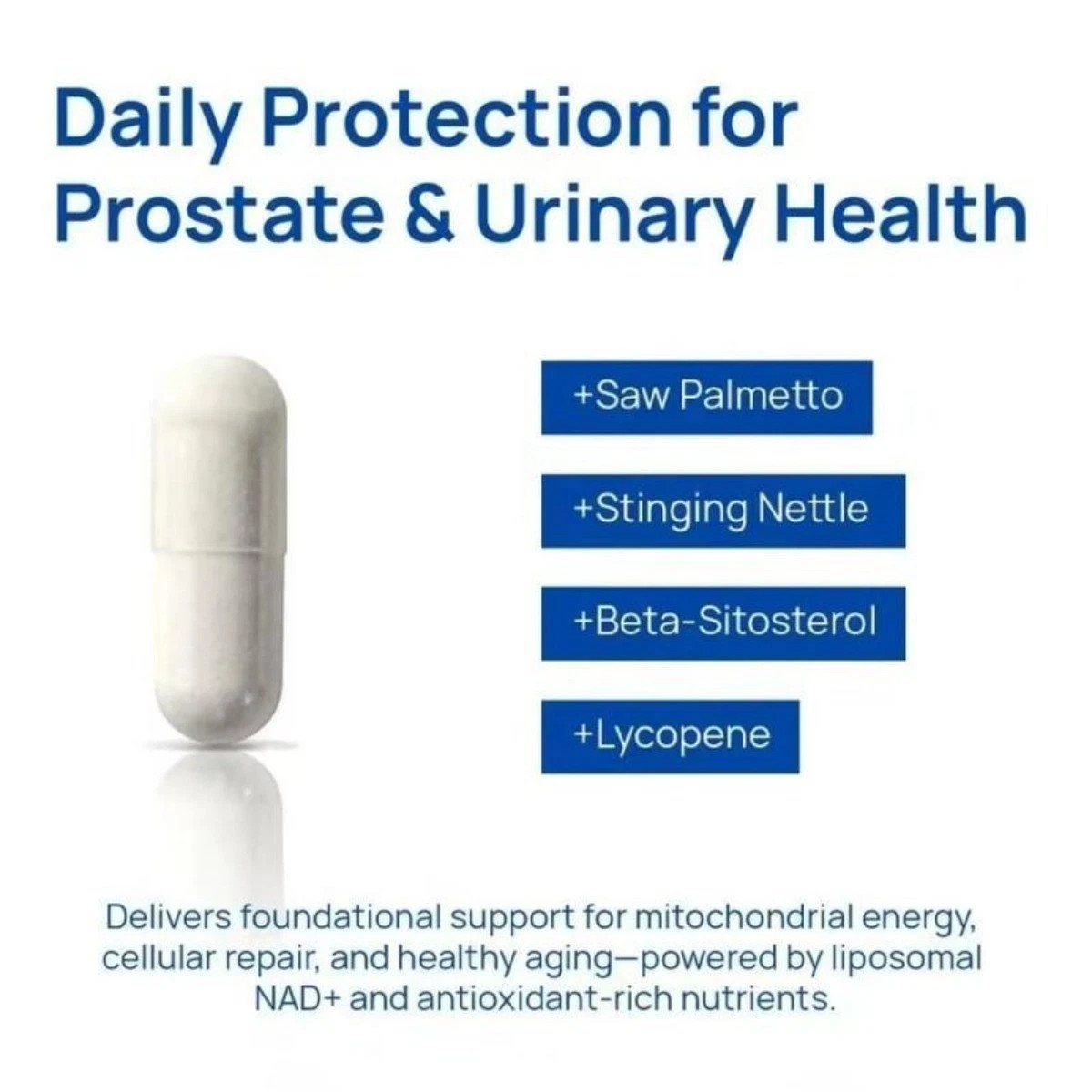 Liposomal Selerb NAD+ Supplement for Men – Supports Energy, Prostate Health & Ce