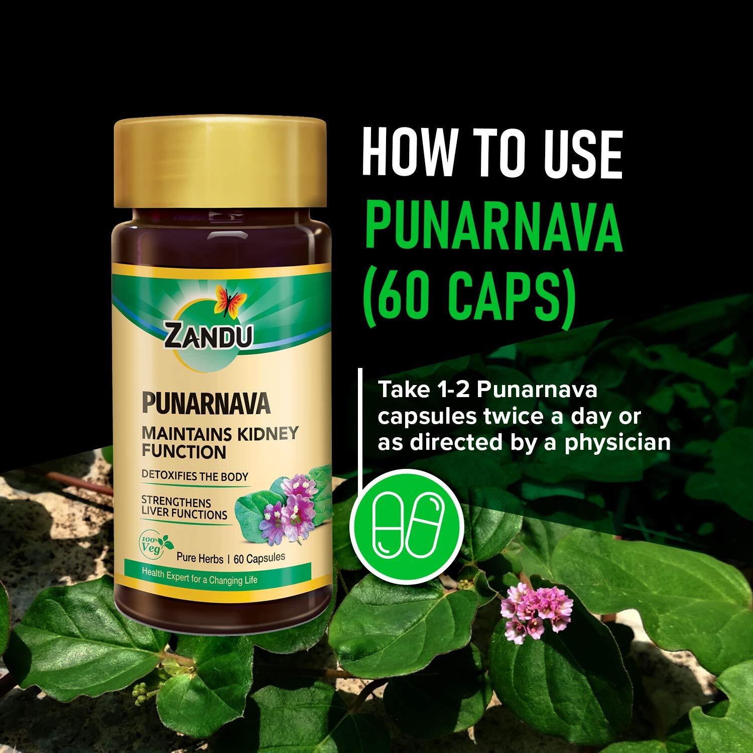 Zandu Punarnava Capsules, Maintains Kidney Function & Liver. (2 Packs) 120 Caps
