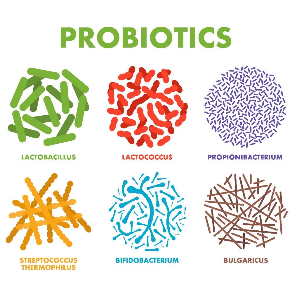 Digestive Enzymes Prebiotic & Probiotics Gas, Constipation & Bloating Relief 100