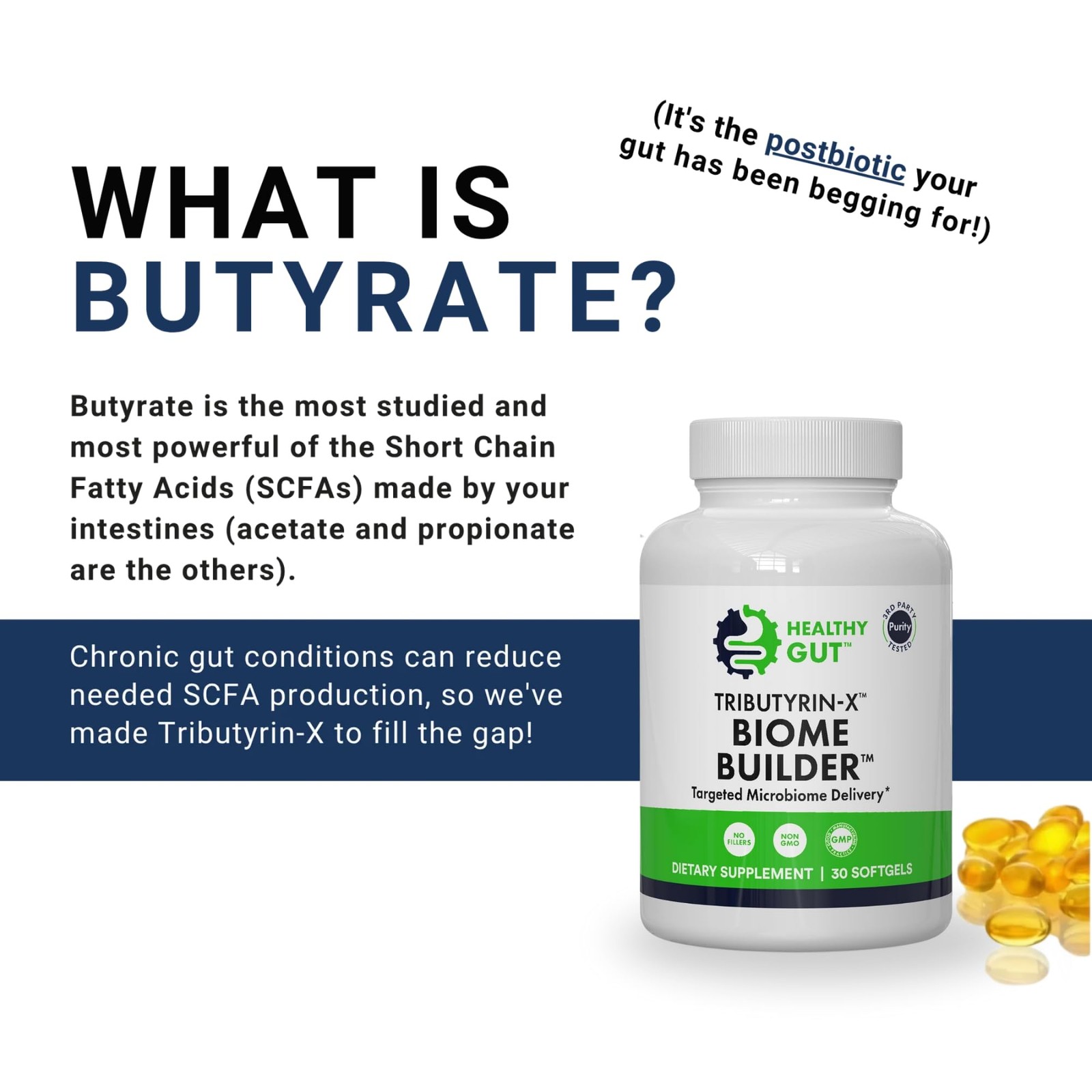 Healthy Gut Tributyrin-X | Most Bioavailable Butyrate 30 Count (Pack of 1)