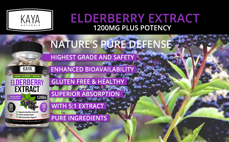 Immune Support 60Ct, Elderberry, Daily Immune and Antioxidants, 1200 mg Capsules