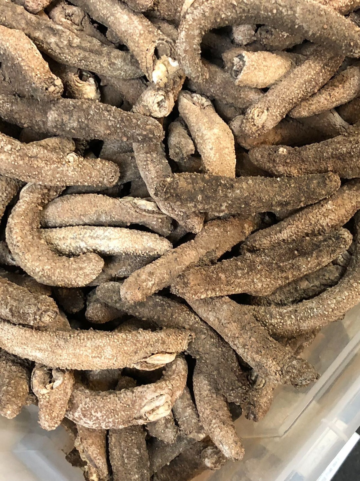 阿拉斯加红参(海参)Super 3A natural Sun Dried ALASKA Red Sea Cucumber(Size XL)1LB/Bag