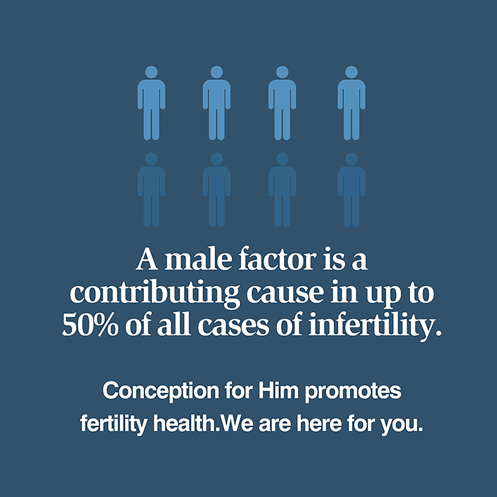 120pcs Men’s Fertility Support – Male Fertility Support,Reproductive Health