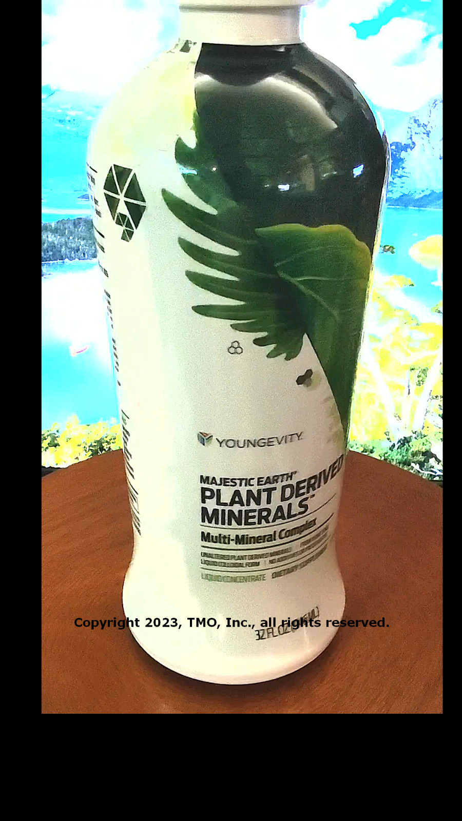 Youngevity Plan-1x Plant Derived Minerals 4 bottles Dr Wallach Free Shipping