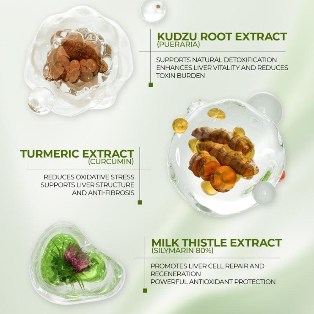 Milk Thistle Liver Detox Supplement – 300mg Silymarin – OXYENERGY – 90 Veg Capsu