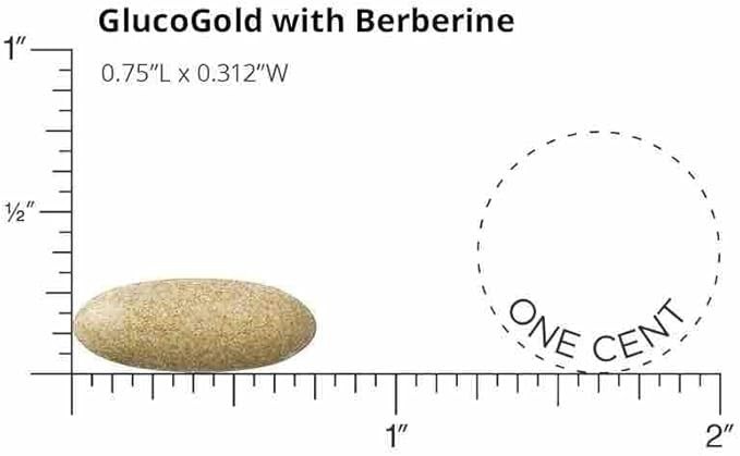 GlucoGold Berberine Blood Sugar Support – Cinnamon, Chromium, Banaba – 90 Tabs