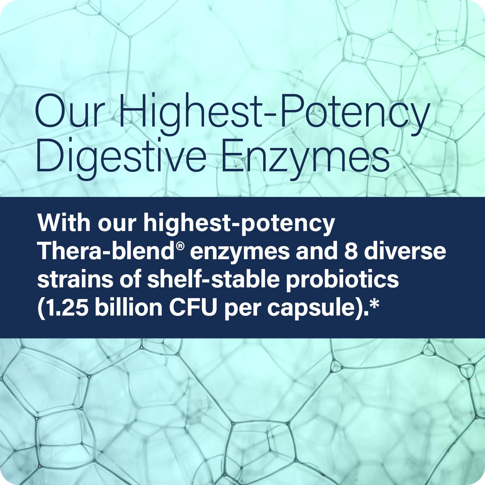 Critical Digestion – Advanced Digestive Enzymes with Probiotics for Women & M…