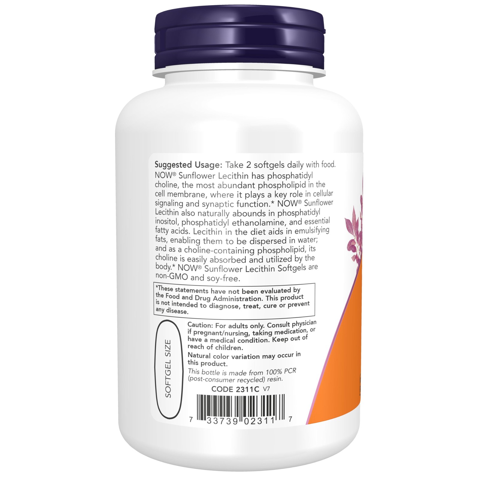 Foods Supplements, Sunflower 100 Count (Pack of 1), Amber/Red/Brown