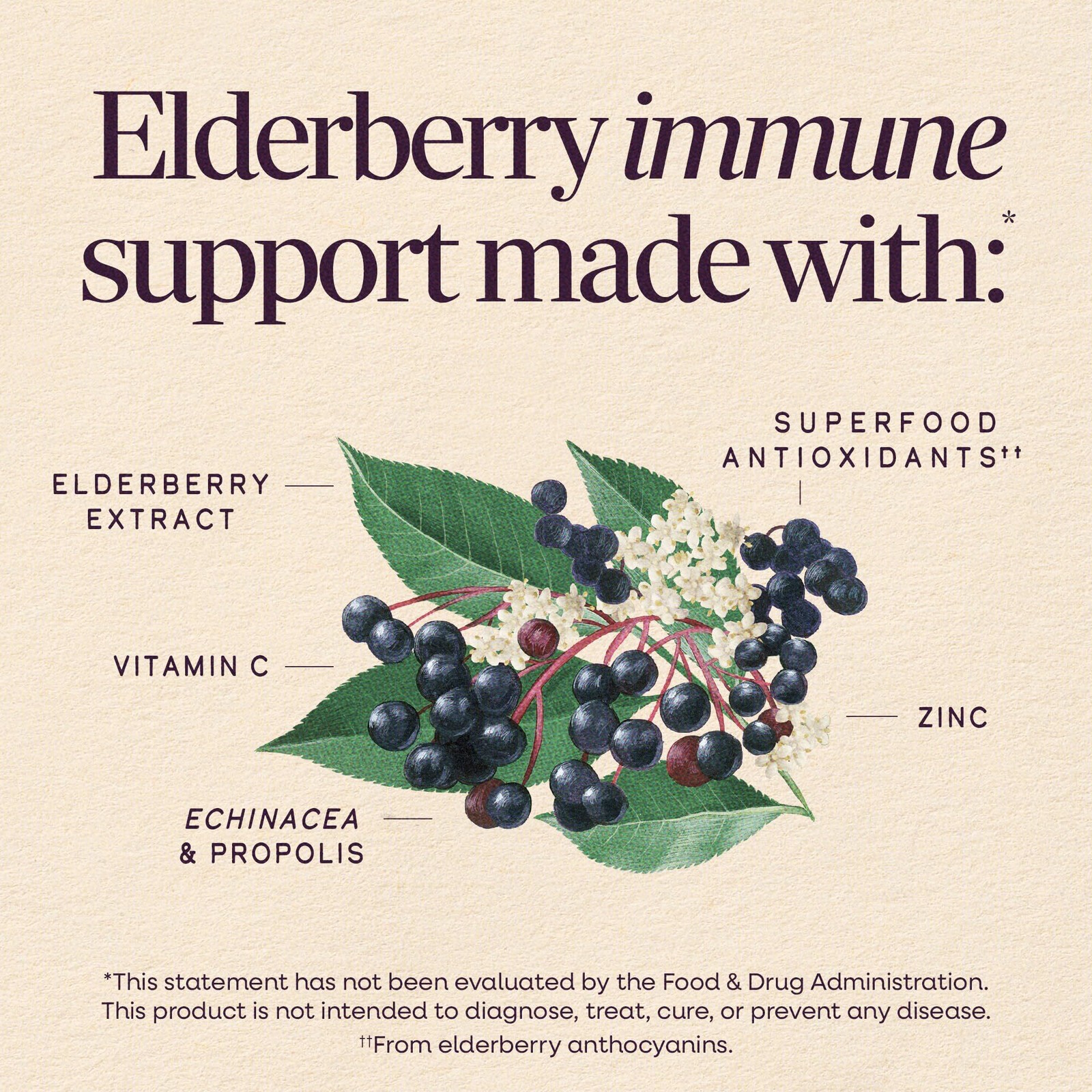 3/27 Nature’s Way Sambucus Immune Elderberry Syrup, Elderberry Extract, Vitamin