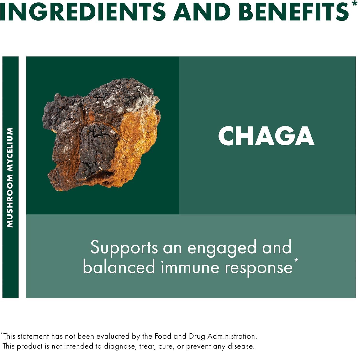 Host Defense Chaga Capsules – Immune System Support Supplement – Chaga Mushroom