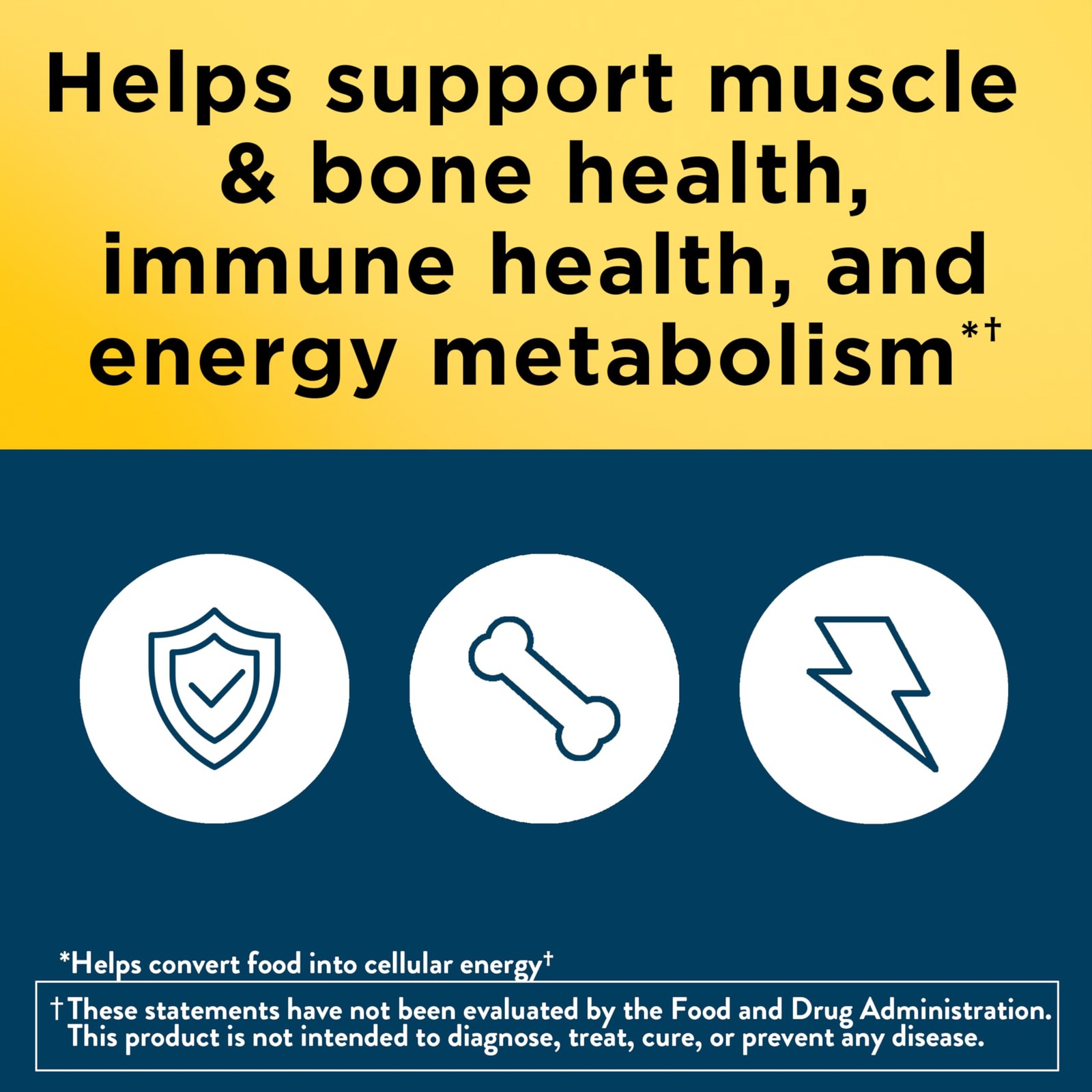 Nature Made Multivitamin for Men Over 50, Mens Multivitamins 50 Plus, Daily…
