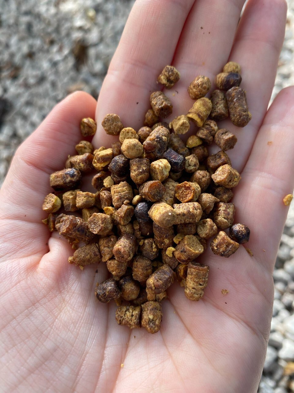 Bee Bread 4.3 oz / 120g Pure Fermented Bee Pollen, Organic Perga