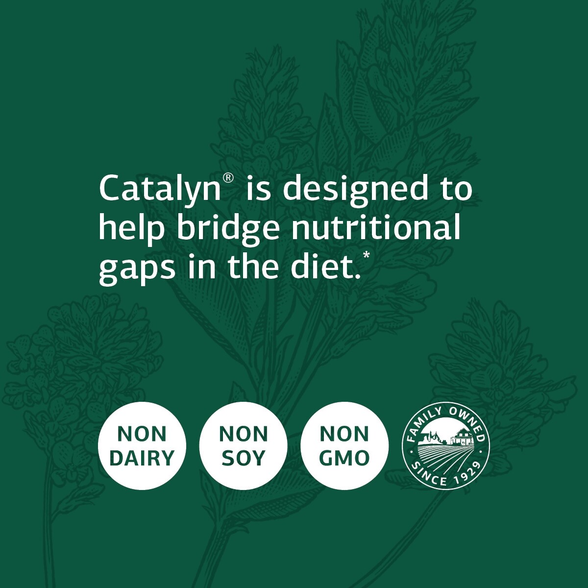 Standard Process Catalyn Whole Food Foundational Support, 90 Tablets