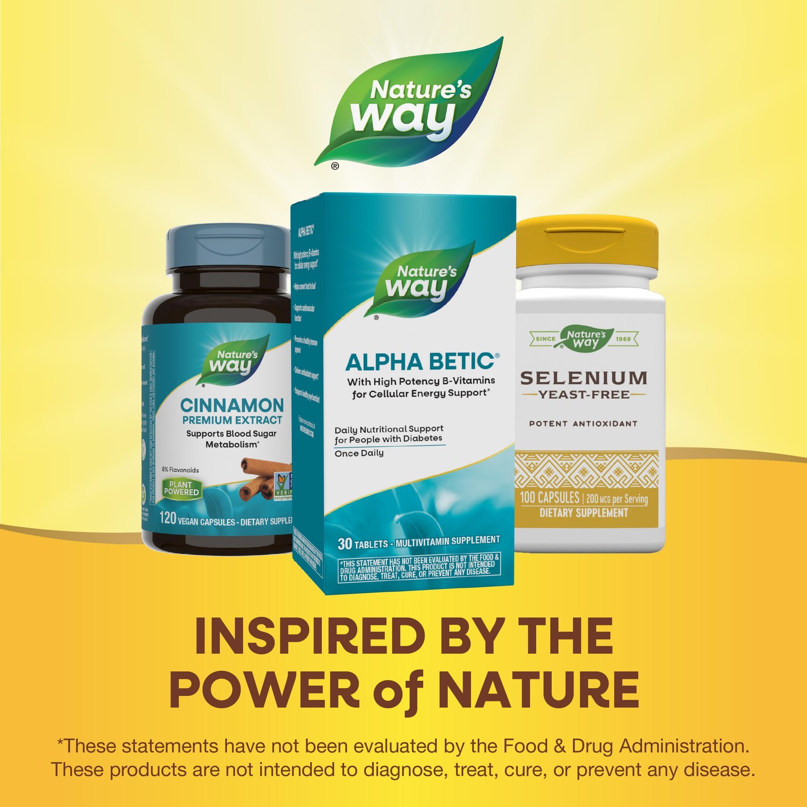 Nature’s Way alpha betic, Diabetic Multivitamin for 30 Count (Pack of 1)