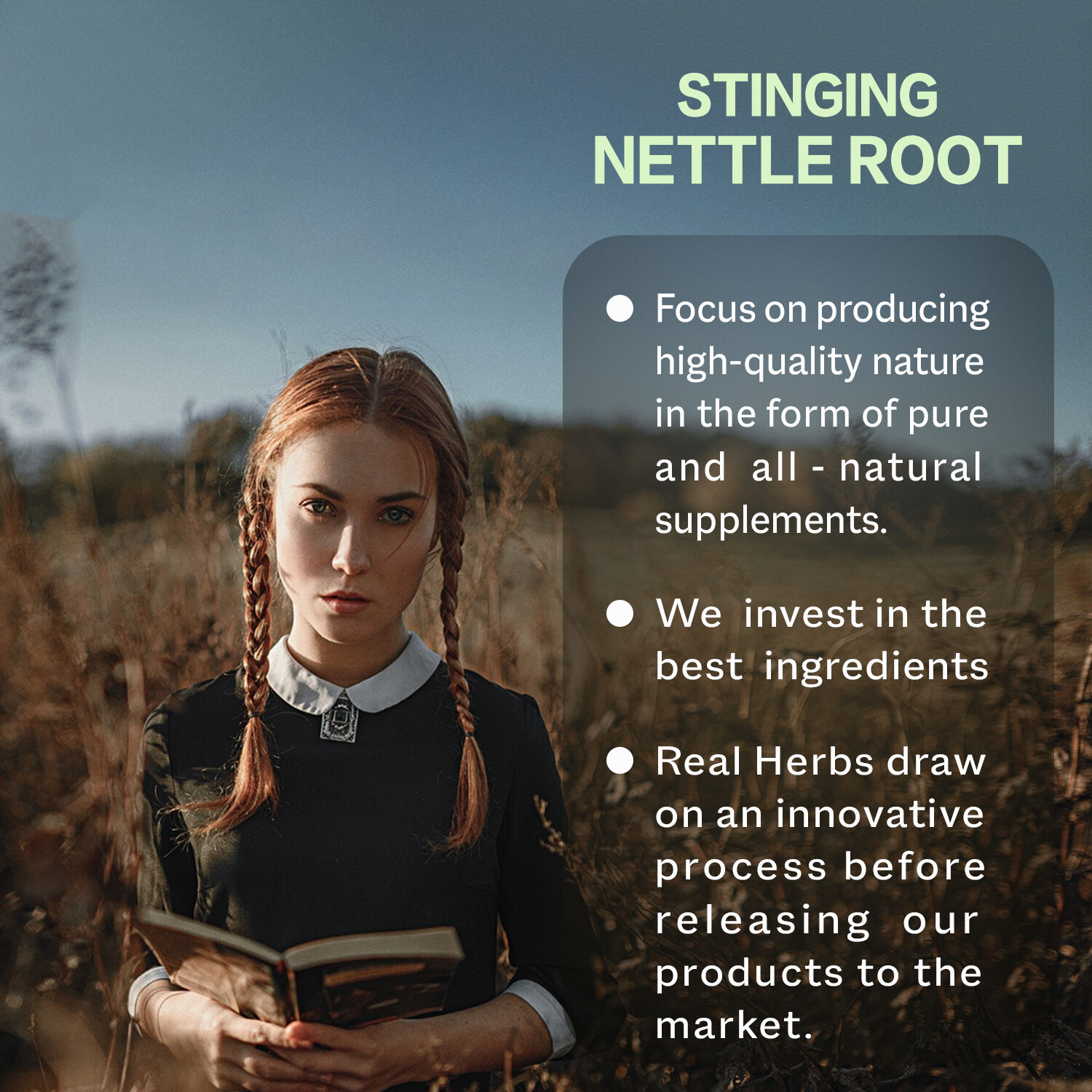 Stinging Nettle Root 750mg – Prostate & Urinary Tract Health, Prevent Hair Loss