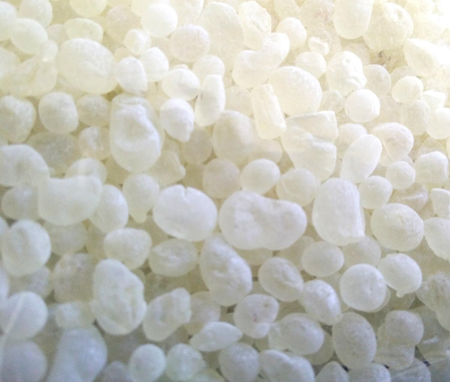 Chios Mastiha Tears Gum Greek 100% Natural Mastic Packs from Mastic Growers