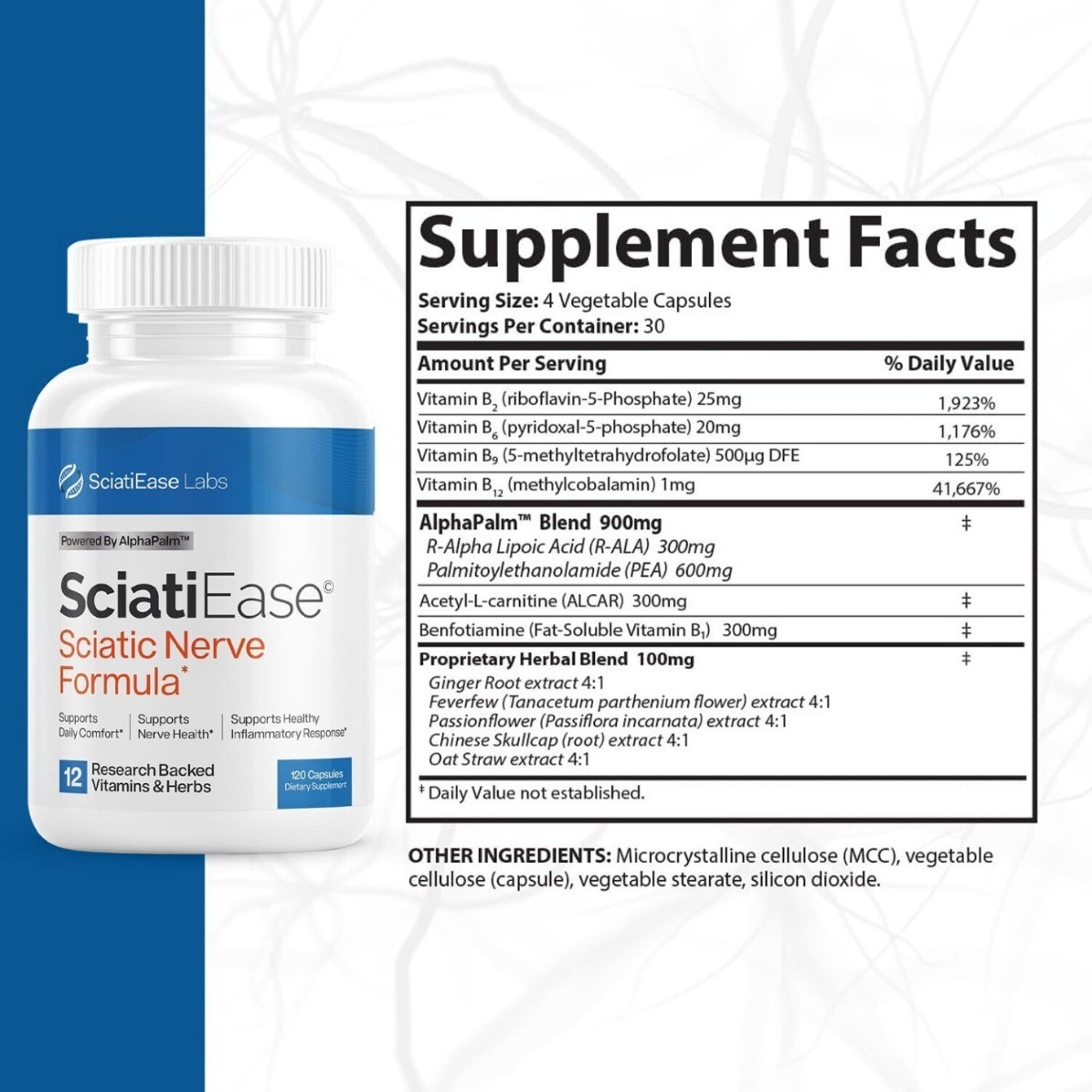 SciatiEase Absorption, Nerve Formula – Fast Sciatic Nerve Comfort & Relief