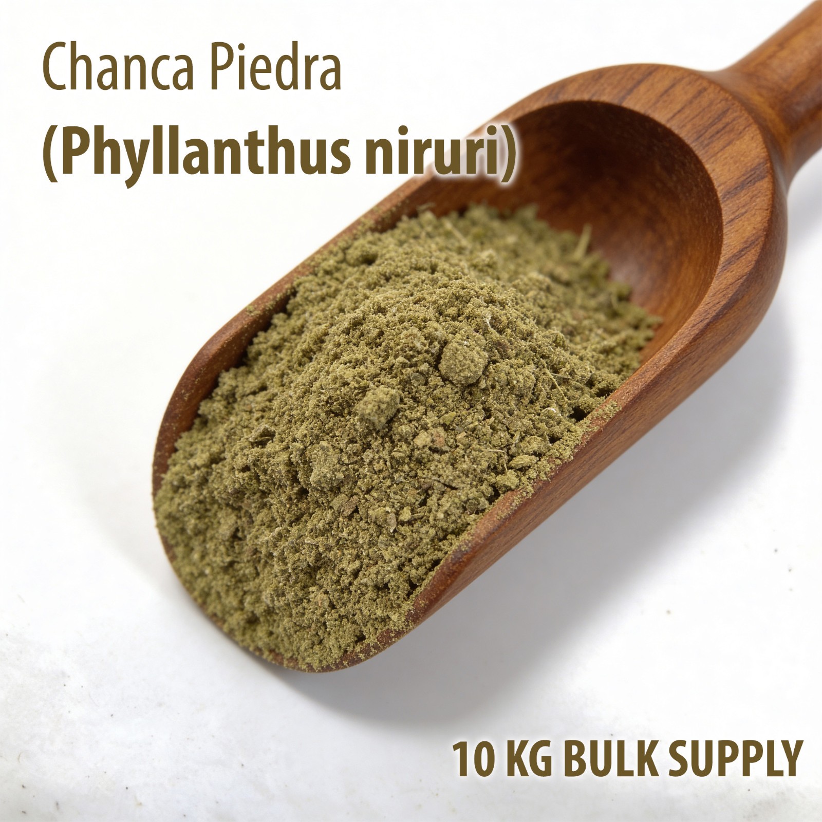 Chanca Piedra Powder 10KG Bulk Phyllanthus Niruri 60 Mesh Wholesale Ingredient
