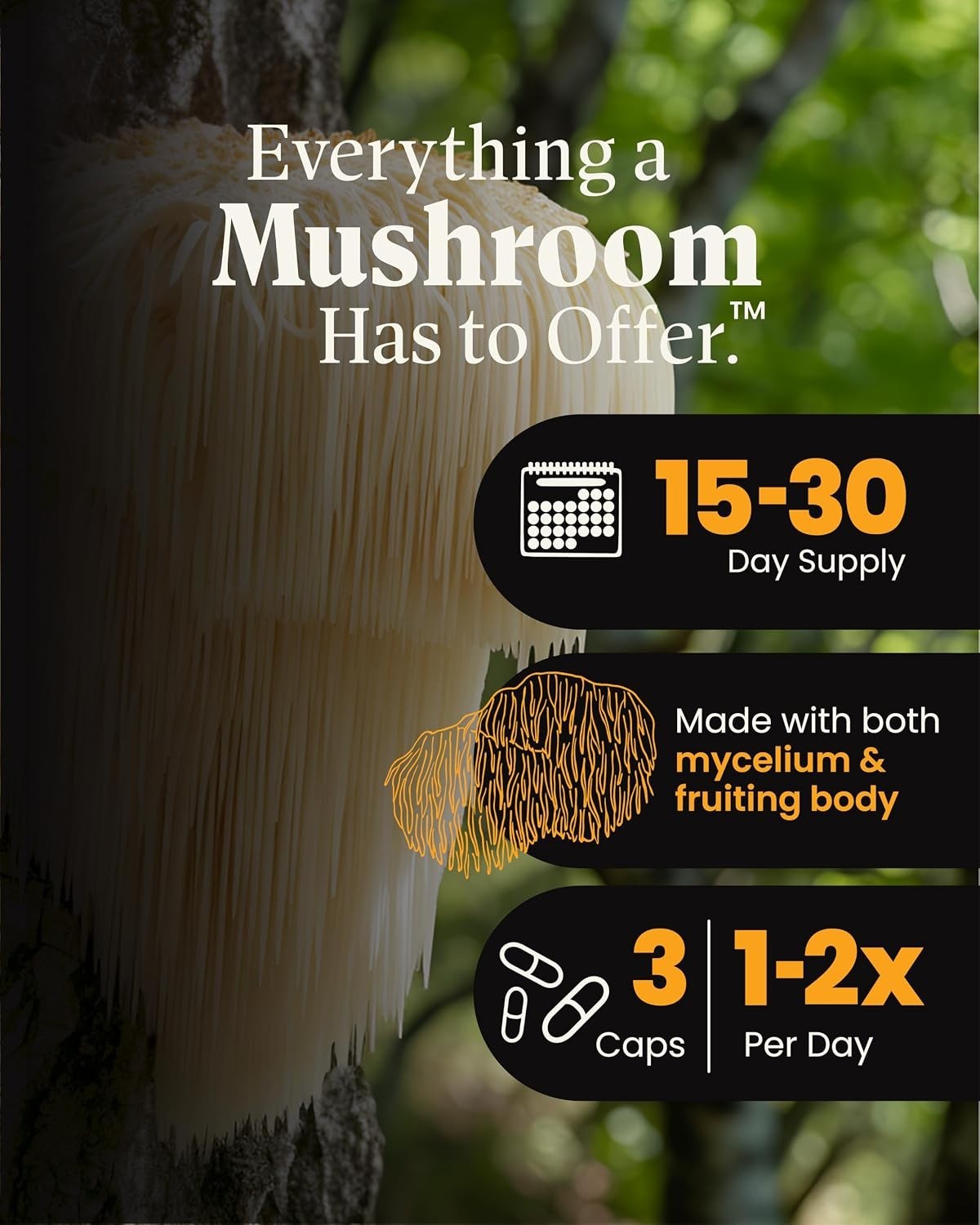 Organic Lion’s Mane & Reishi Capsules – 90 Capsules for Mental Clarity
