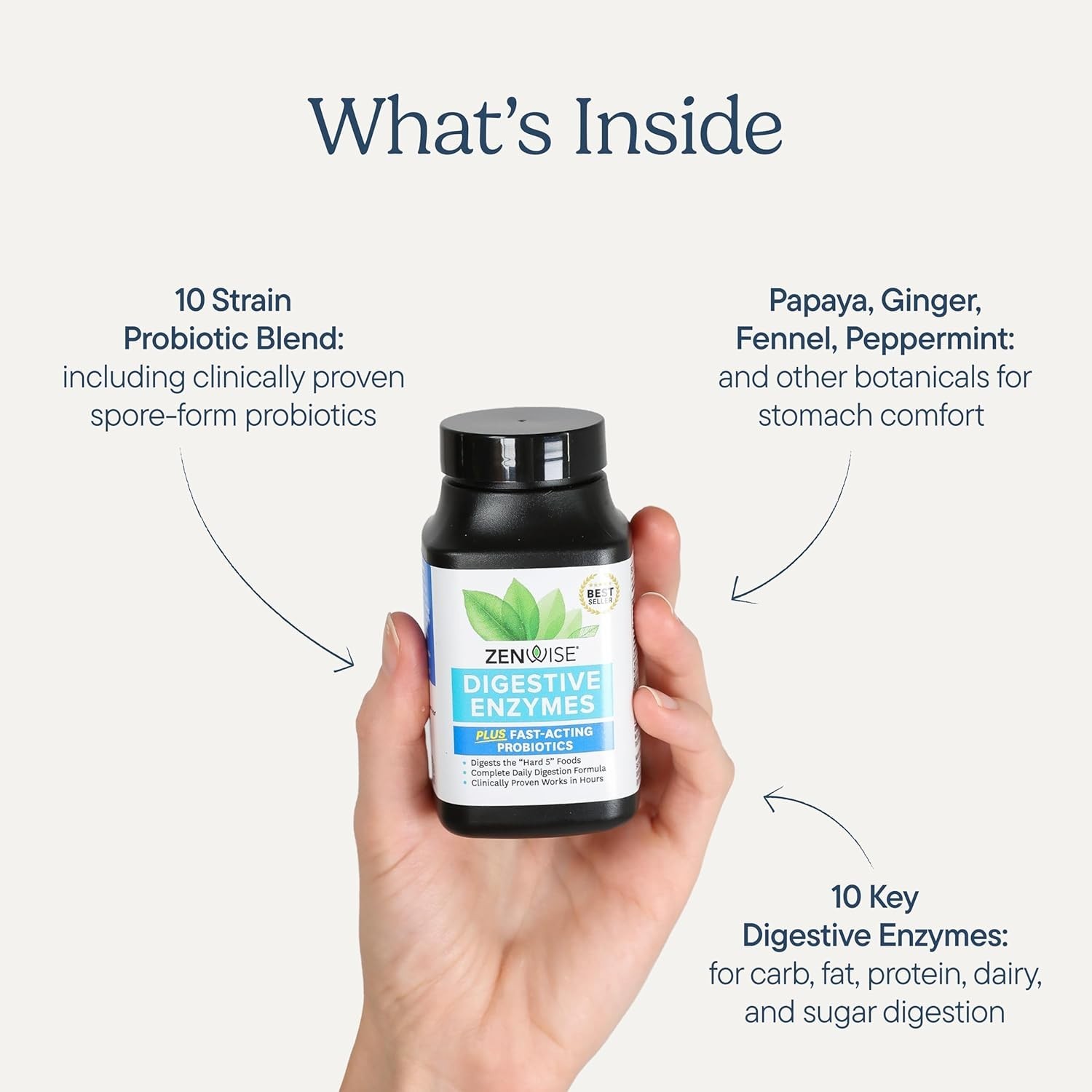 3-in-1 Digestive Health Supplement with Multi Enzymes & Probiotics – 60 Count