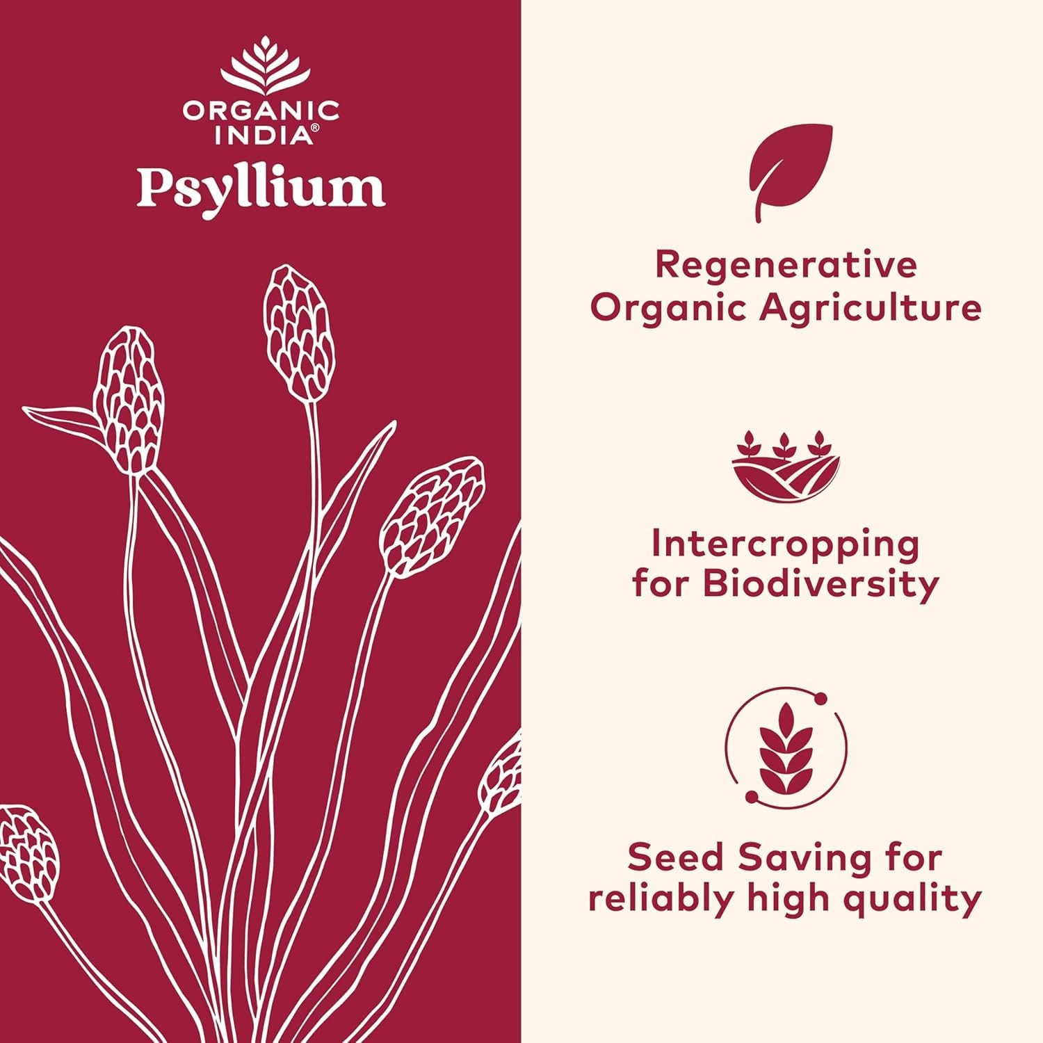 ORGANIC INDIA Whole Psyllium Husk Powder Organic Psyllium Husk Fiber Supplem…