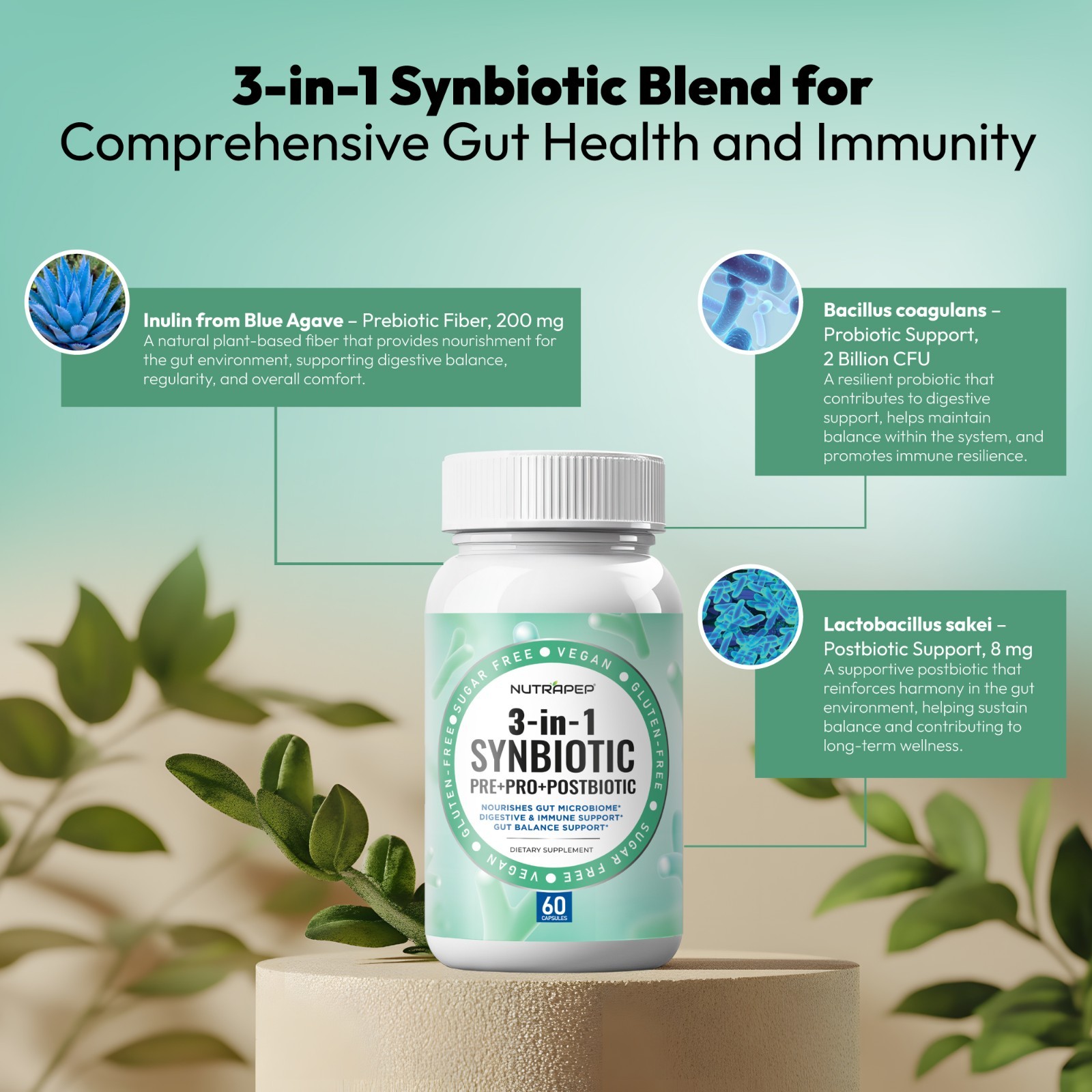 NutraPep Synbiotics Probiotic Prebiotic Postbiotic – Daily Gut Health Support