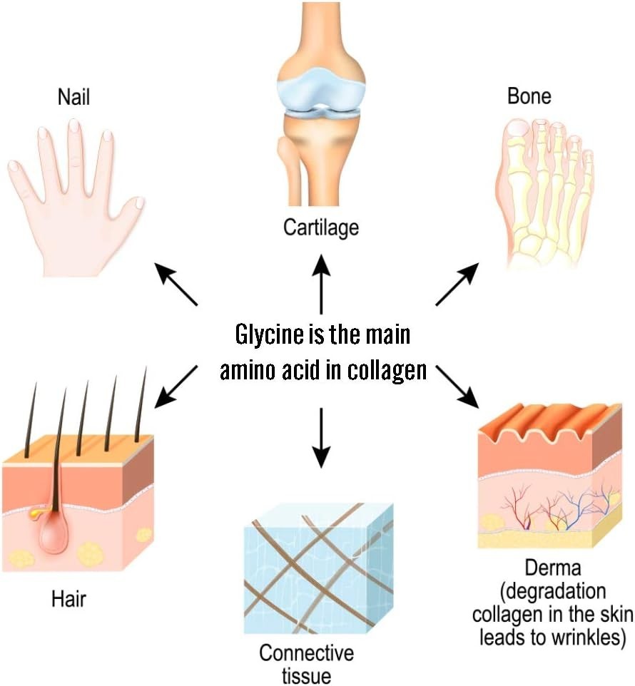 2 lbs of Glycine Powder – Ideal for Restful Sleep, Muscle Recovery & Focus