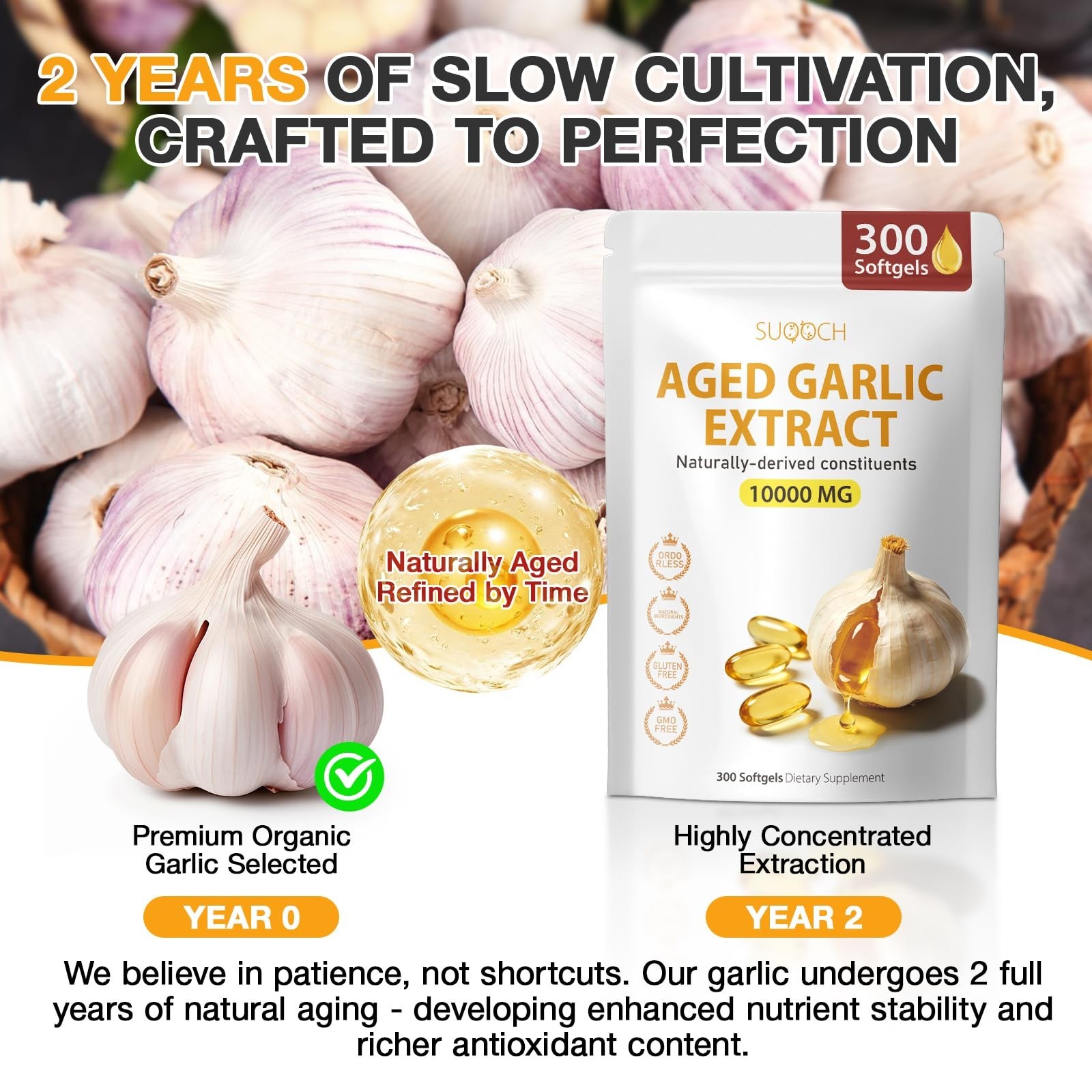 Aged Garlic Extract 300 Softgels – Non-GMO Daily Wellness & Heart Health Supplem
