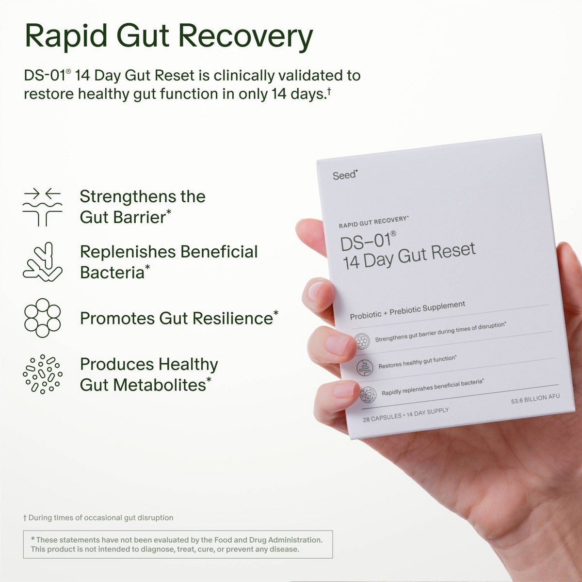Seed 14-Day Gut Reset Probiotic Capsules – 28ct: Probiotic and Prebiotic Blends