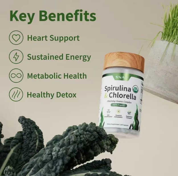 Two-pack Snap Gut Health + Organic Spirulina PYLOPASS H Pylori Probiotic