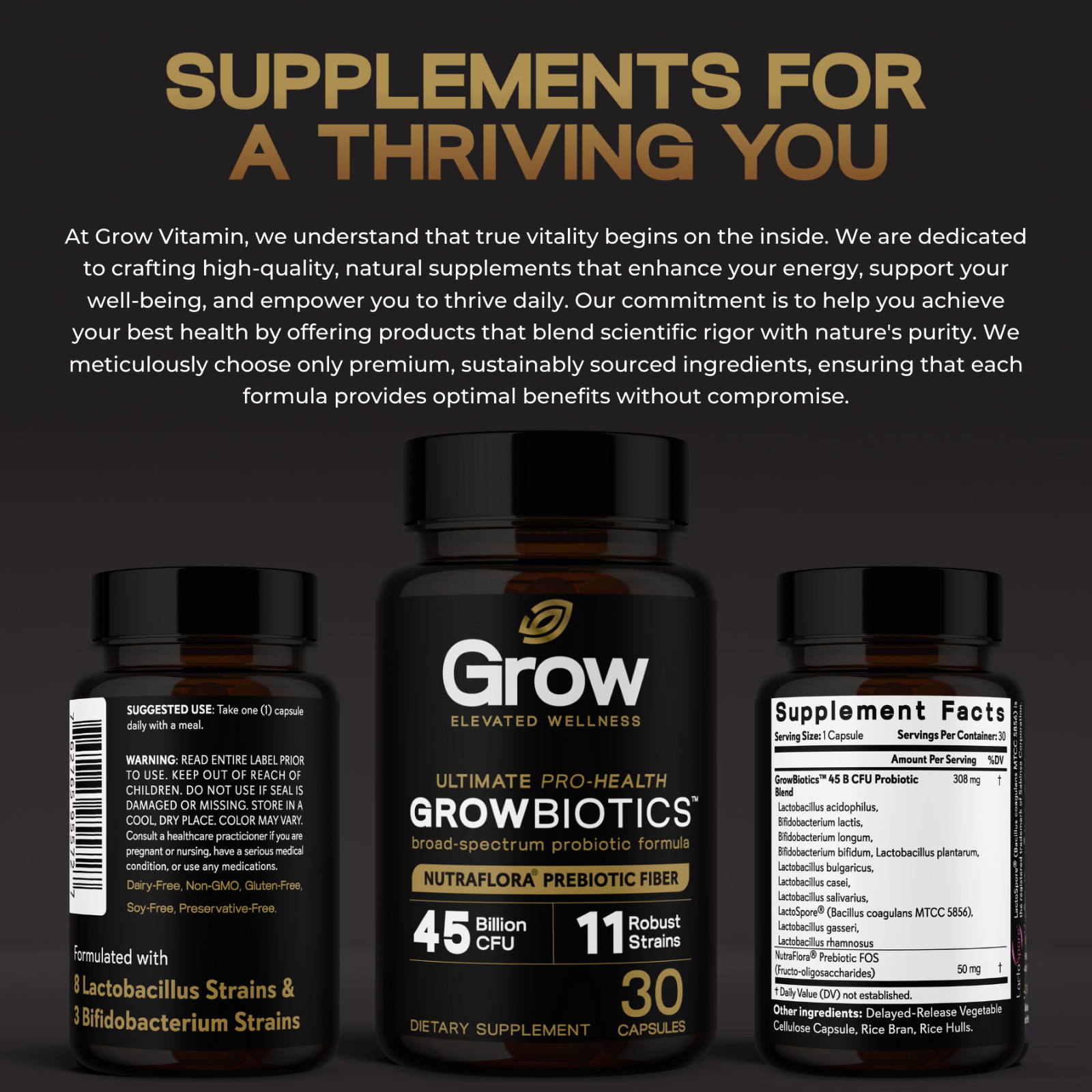 Daily Probiotics w/ Prebiotics 60 Billion CFU Vegan Gut & Digestive Health 30ct