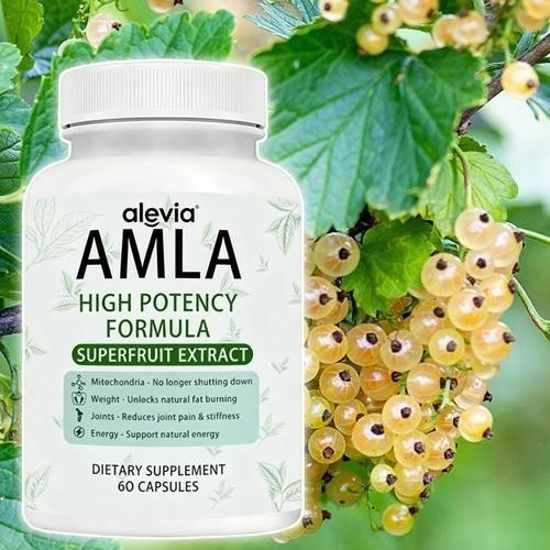 Amla Capsules 1000mg Organic Indian Gooseberry Ayurvedic Alevia Fruit 1-3 pack