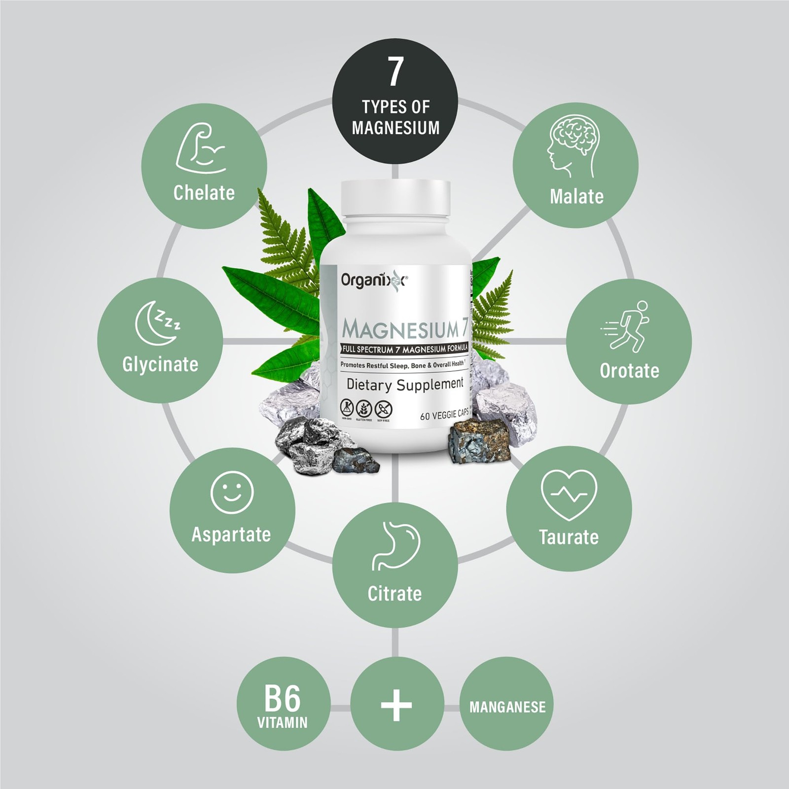 Organixx Magnesium 7 Supplement, Natural 60 Count (Pack of 3)