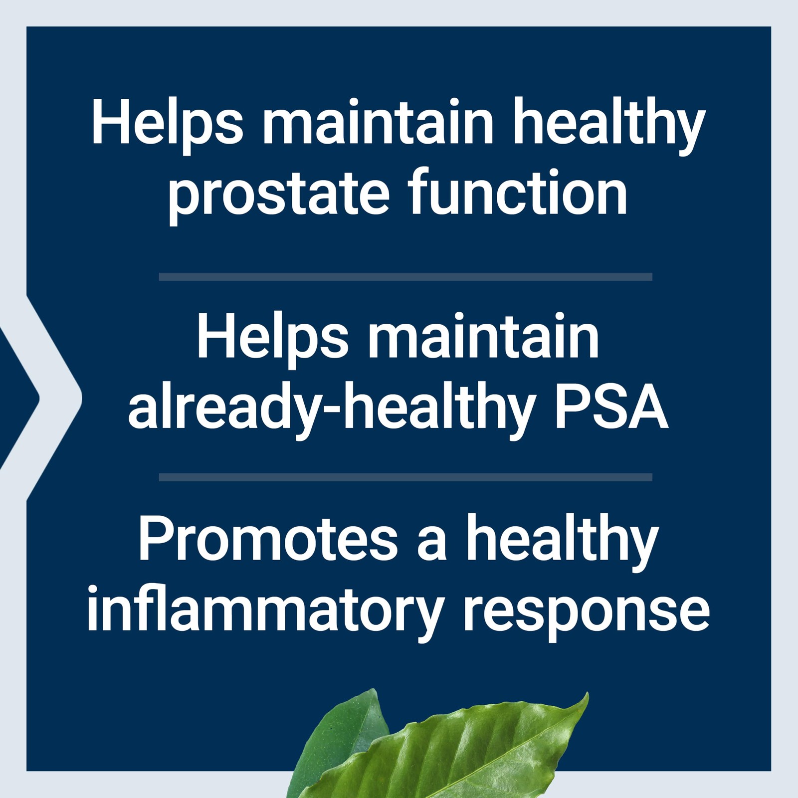 Prostate Health Formula Saw Palmetto Pygeum 60 Count Life Extension Ultra Nettle