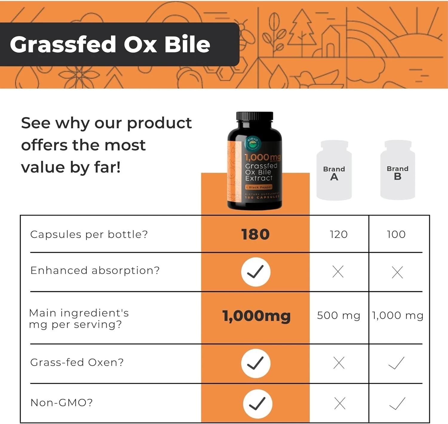 Grass-Fed Ox Bile Extract 1000mg — Digestive Support Capsules with Black Pepp…