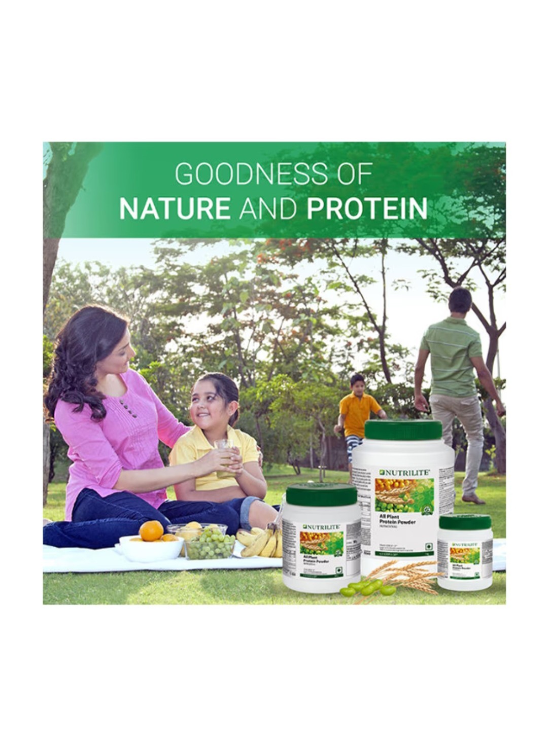 NUTRILITE ALL PLANT PROTEIN POWDER 500GM