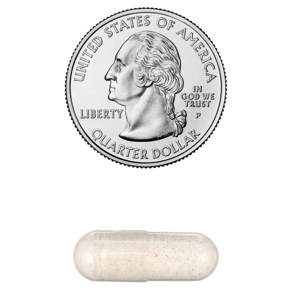 Wholesome Wellness Raw Probiotic Digestive Enzymes 100 Billion Cfu 30 Pills