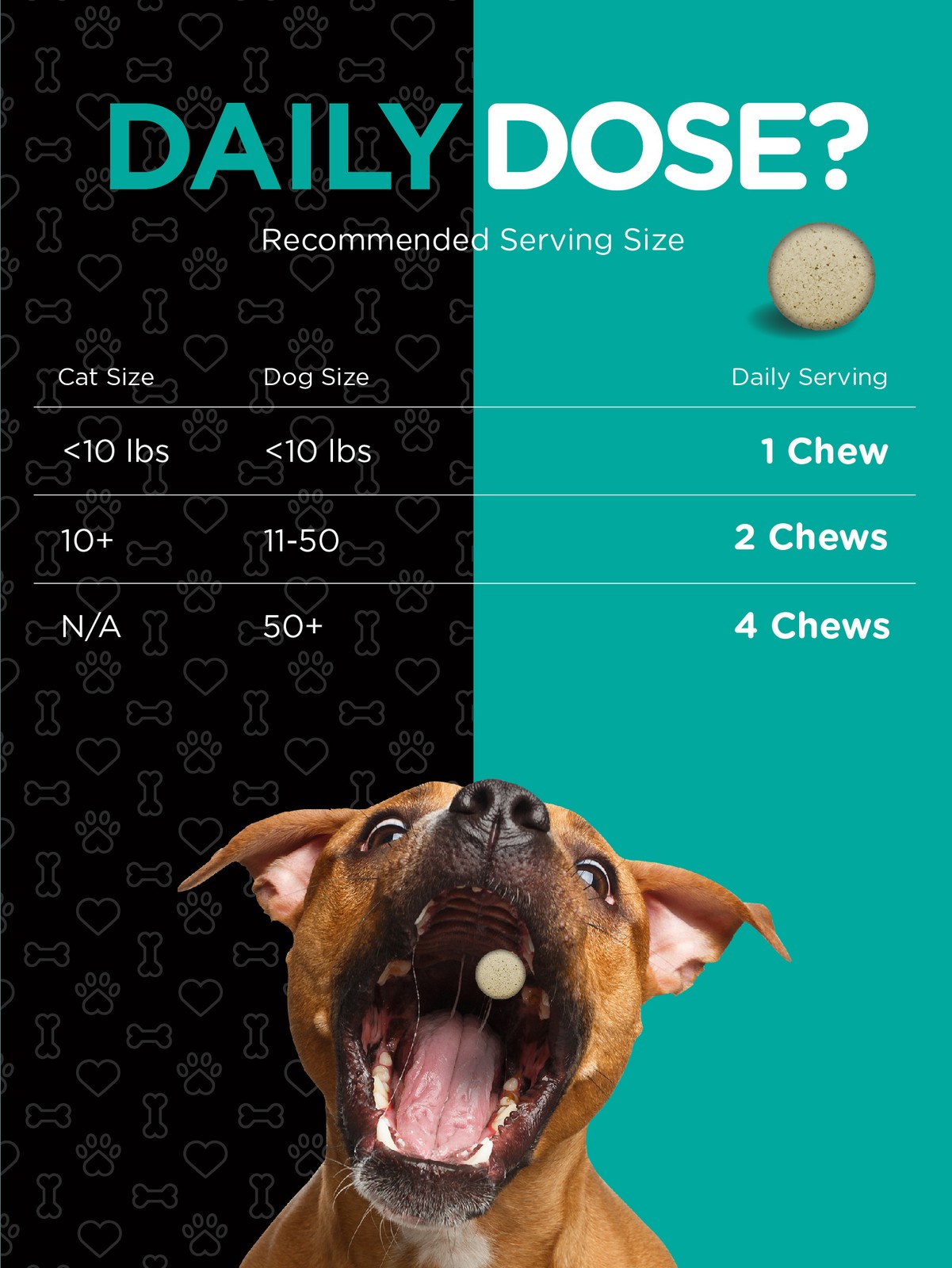 Probiotics for Dogs & Cats | 120 Chewables | Digestive Aid | by River & Rula