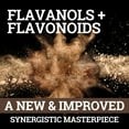 1 PACK – Black Forest High Flavanol Cocoa Powder Flavonoids Supplement 1200 mg