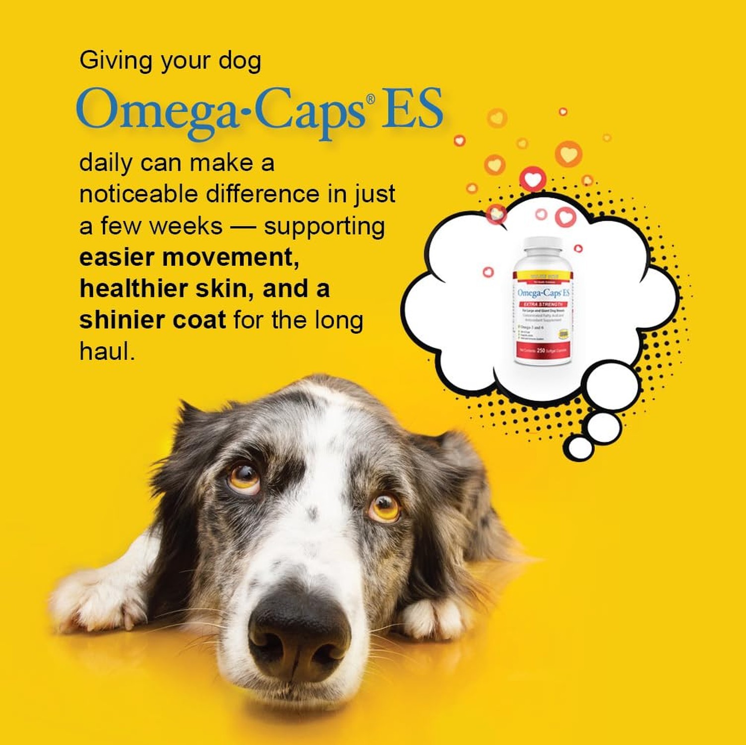 Omega-Caps ES for Large & Giant Dogs (250 Caps) 250 soft gels