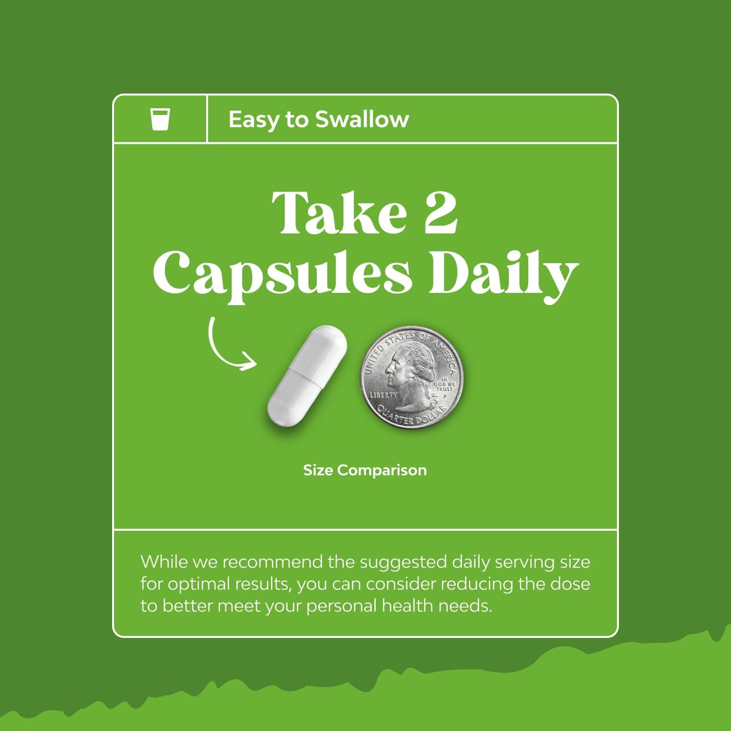 Mastic Gum Capsules – Herbal Digestion Supplement Providing Upset Stomach Relief