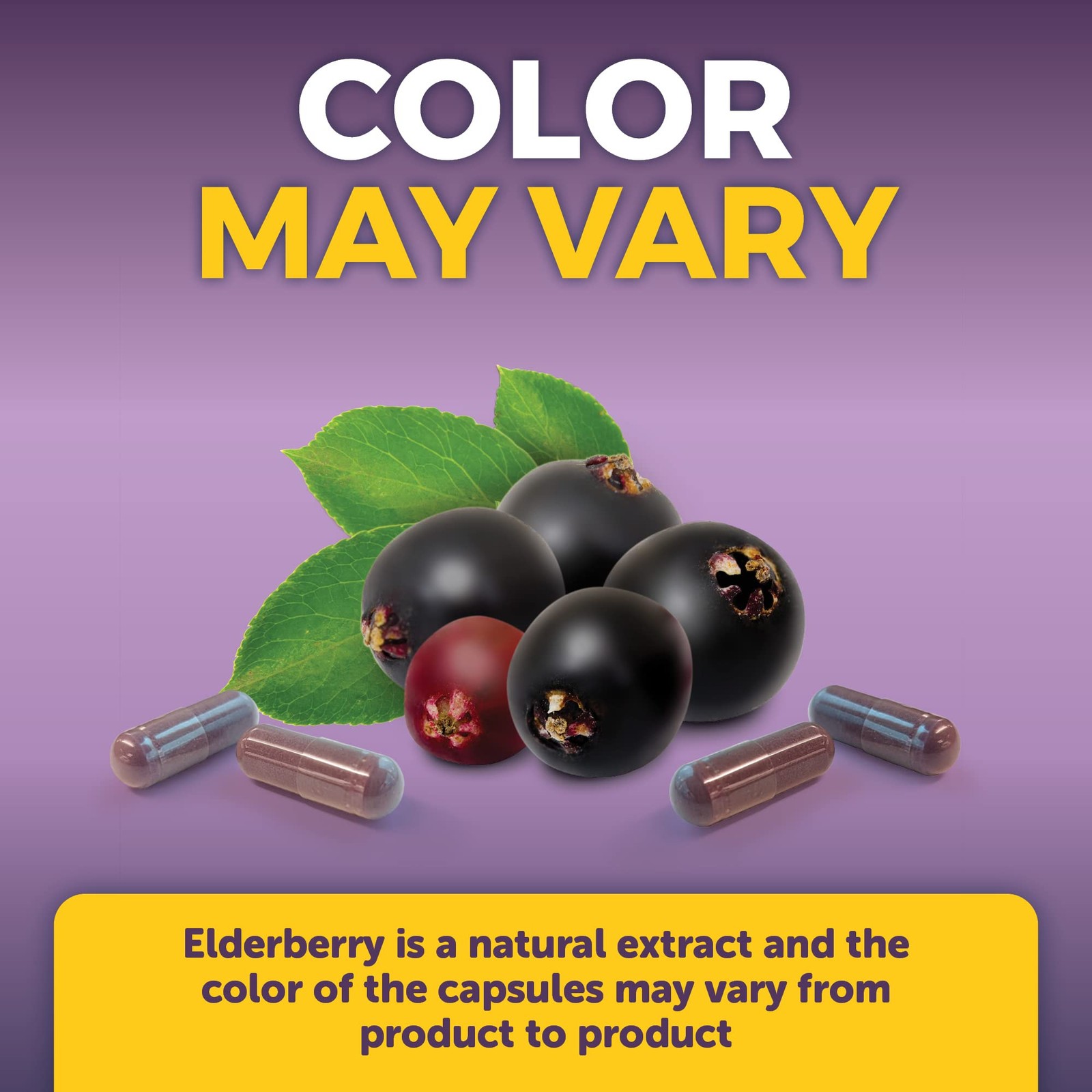Viva Naturals Elderberry with 120 Count (Pack of 1), 5in1 120ct