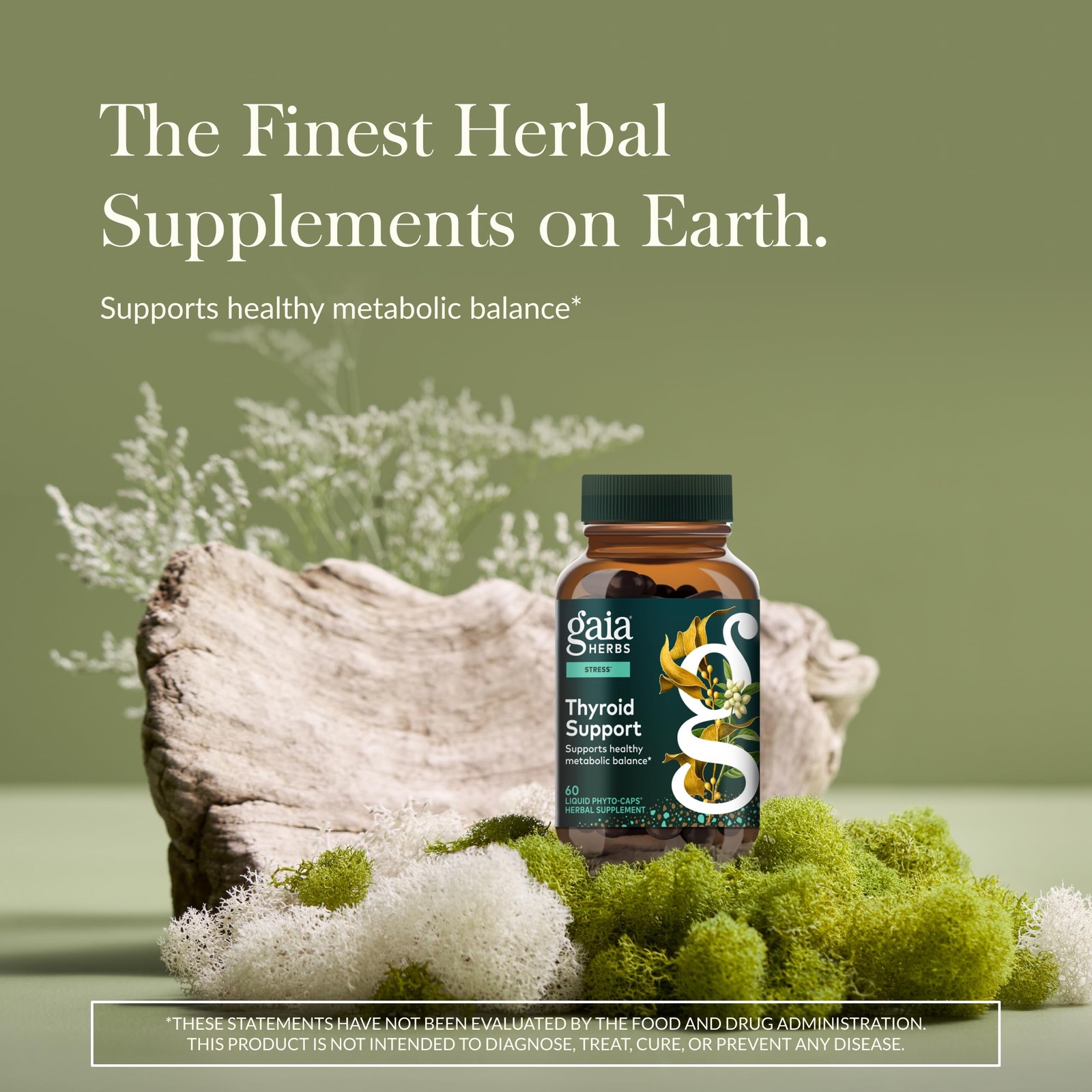 Gaia Herbs Thyroid Support – Made with Ashwagandha, Kelp, Brown Seaweed & Sch…