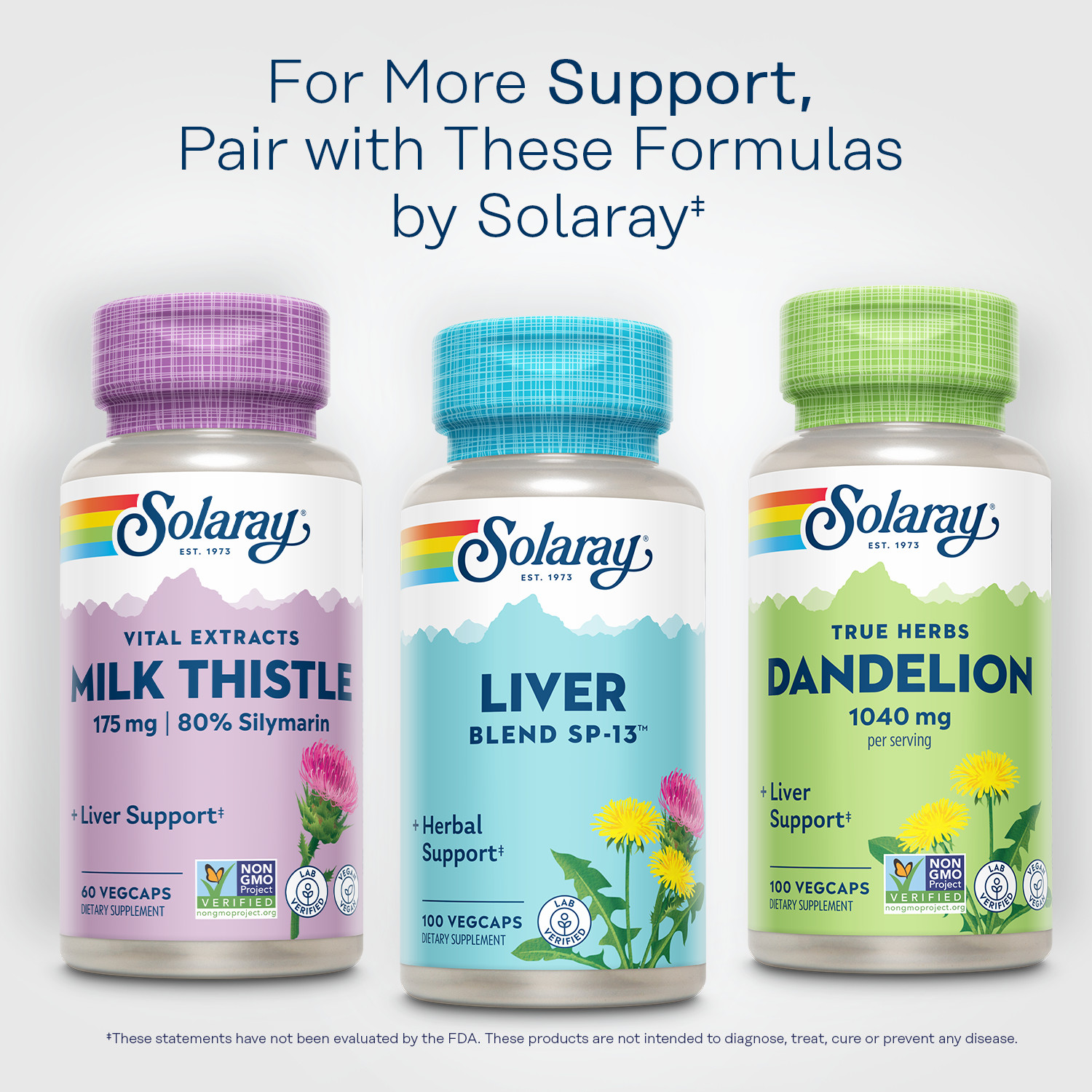 Solaray Liver Blend SP-13 | 100 VegCaps